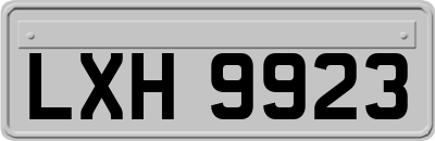 LXH9923