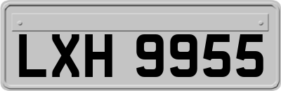 LXH9955