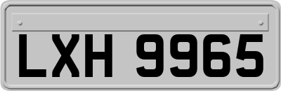 LXH9965