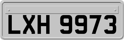 LXH9973