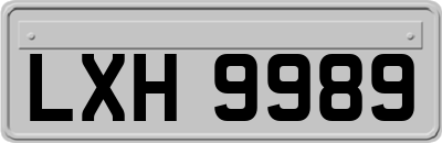 LXH9989