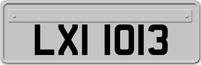 LXI1013