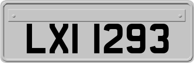 LXI1293