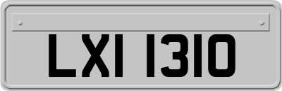LXI1310