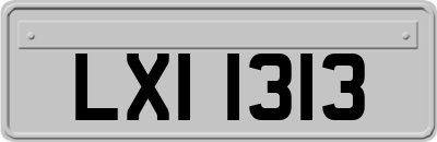 LXI1313