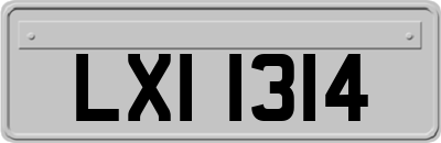 LXI1314