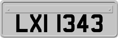 LXI1343