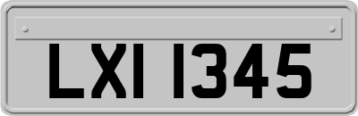 LXI1345