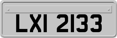 LXI2133