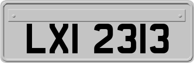 LXI2313