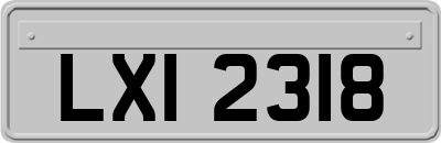 LXI2318