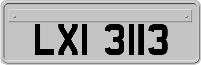 LXI3113