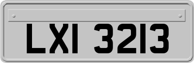 LXI3213