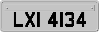 LXI4134
