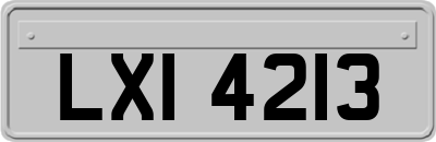 LXI4213