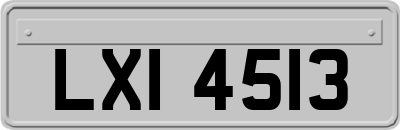 LXI4513