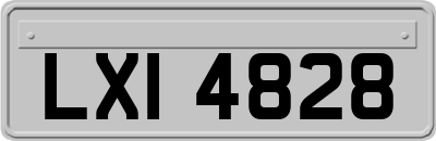 LXI4828
