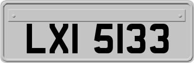 LXI5133