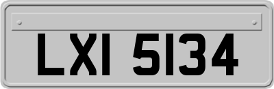 LXI5134