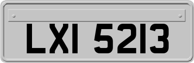 LXI5213