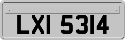 LXI5314