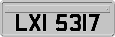 LXI5317