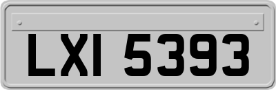 LXI5393