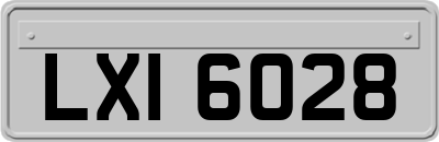 LXI6028