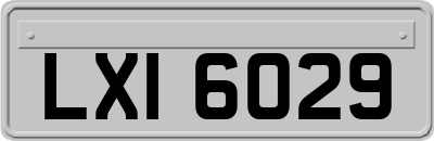 LXI6029