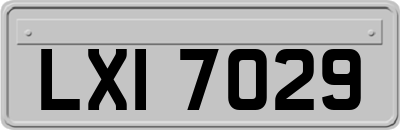 LXI7029