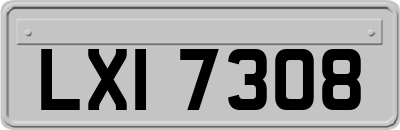 LXI7308