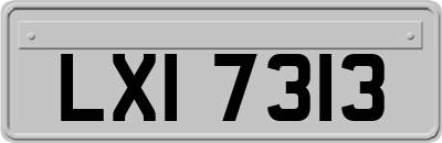 LXI7313