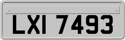 LXI7493