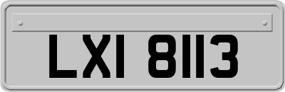 LXI8113