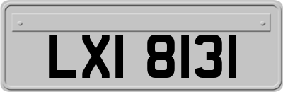 LXI8131