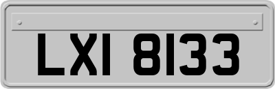 LXI8133