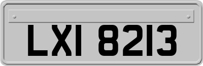 LXI8213