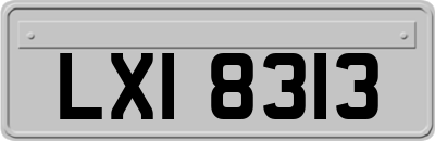 LXI8313
