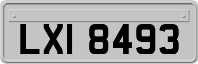 LXI8493