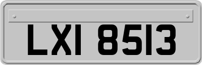 LXI8513