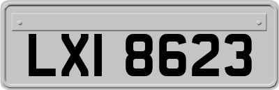 LXI8623