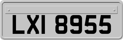 LXI8955