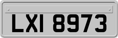 LXI8973