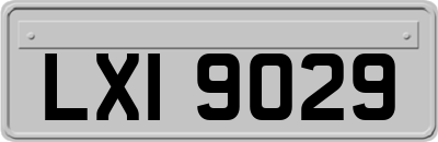 LXI9029