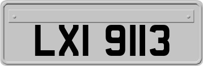 LXI9113