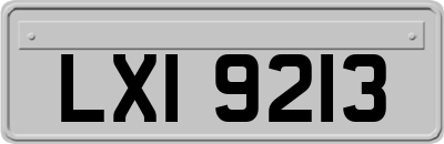 LXI9213
