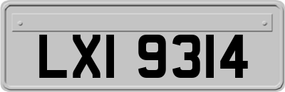 LXI9314