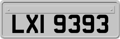 LXI9393