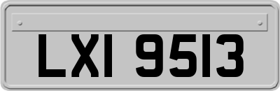 LXI9513
