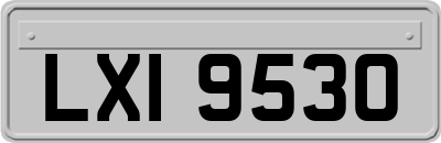 LXI9530